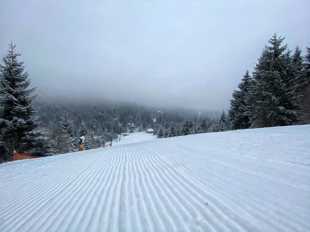 Mountain-Rest Pension Меркуря-Чук Экстерьер фото